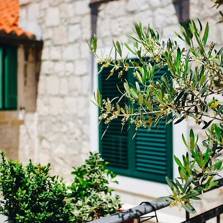 Luxury Laz Lägenhet *