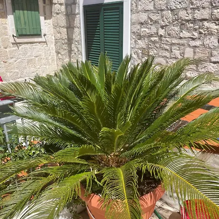 Luxury Laz דירה ספליט